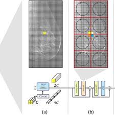 Image result for backmodel terzi