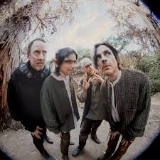 Image result for Weezadivers