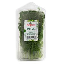 Image result for Dill