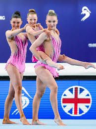 Image result for Harriers Acrobatic Gym Club