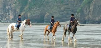 Image result for The Riding Centre
