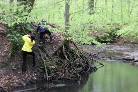 Image result for Kids Run Free