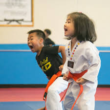 Image result for KA Martial Arts John's Creek