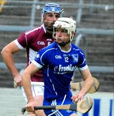 Image result for Sarsfields Hurling Club