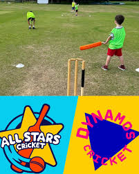 Image result for Henfield Cricket Club