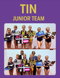 Image result for Swallows Of Helston Gymnastics Club