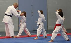 Image result for Mickleham Seiki Juku Karate Club