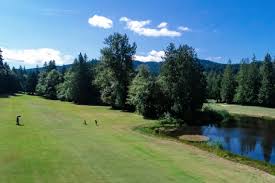 Image result for Bellingham Golf Club