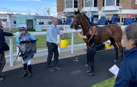 Image result for Ayr Riding Club