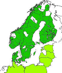 Attēlu rezultāti vaicājumam “Anisotoma humeralis”