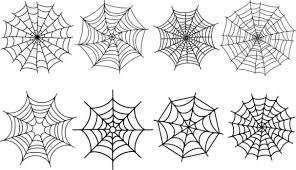 Image result for web patterns