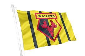 Image result for Watford Rugby Football Club