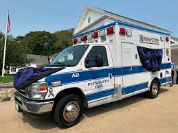 Image result for Plymouth Swallows Gc