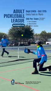Image result for PICKLEBALL GORLESTON
