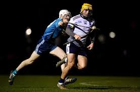 Image result for University Of Limerick Gaa Hurling Club