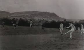 Image result for Wolfe Tones Gaelic Athletic Club