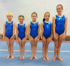 Image result for Hinckley Gymnastics Club