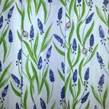 Attēlu rezultāti vaicājumam “Muscari botryoides leaf”