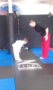 Image result for America's Best Karate Chandler