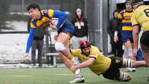 Image result for York University Rugby Union Club