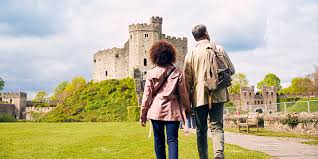 Image result for Cardiff Capitals