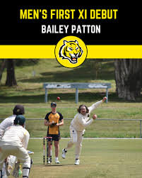 Image result for Torquay Cricket Club