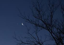 Image result for moon venus