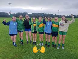 Image result for John Mitchel`s Gaelic Athletic & Social Club