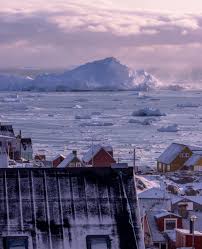 Image result for Ildblomkarse