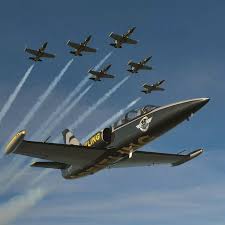 Image result for Blackpool Sport-Flying Club