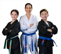 Image result for White Tiger Martial Arts