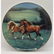 Image result for British Horse Society