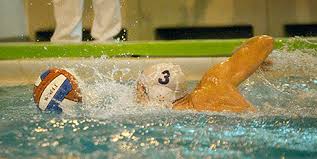 Image result for Swindon Dolphins