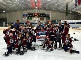 Image result for Adur Skater Hockey Club