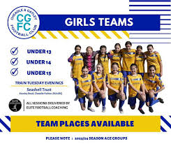 Image result for Cheadle & Gatley F C