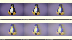 Image result for 3d linux penguin
