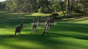 Image result for Broadwater Park Golf Club