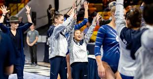 Image result for Hemsworth Odyssey Gymnastics Squad