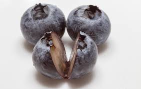 Attēlu rezultāti vaicājumam “Vaccinium myrtillus fruit”