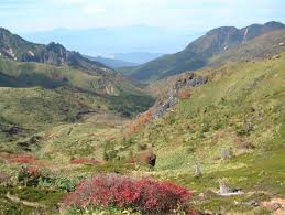 Image result for 毛無峠