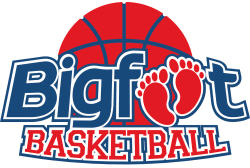 Image result for Haringey Angels Basketball Club