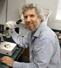 Attēlu rezultāti vaicājumam “Comatricha ellae stalked”