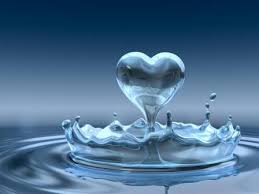 http://t0.gstatic.com/images?q=tbn:ANd9GcSyBJoFQQjOFLETosLXxmqLiket9UDhuZ-Al1t11QZhj0Gxj4U&t=1&usg=__8ShRNHZ1DpqxAxIaRXiX6S3lB-4=