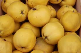 Attēlu rezultāti vaicājumam “Cydonia oblonga fruit”