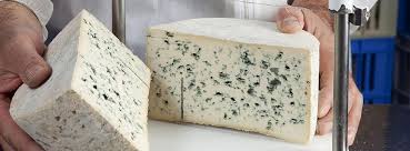 Image result for bleu d'auvergne