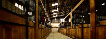 Image result for Bookham Riding Club
