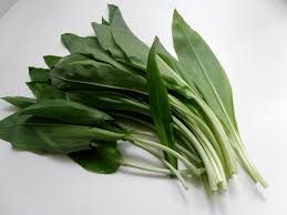 Image result for Bärlauch