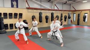 Image result for Seiki Juku Karate Club