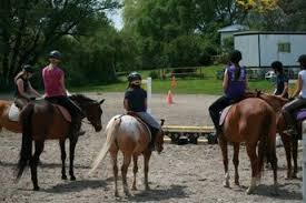 Image result for Bookham Riding School