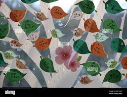 Image result for Amber Valley Ac